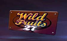 Игровой автомат Wild Fruits 27